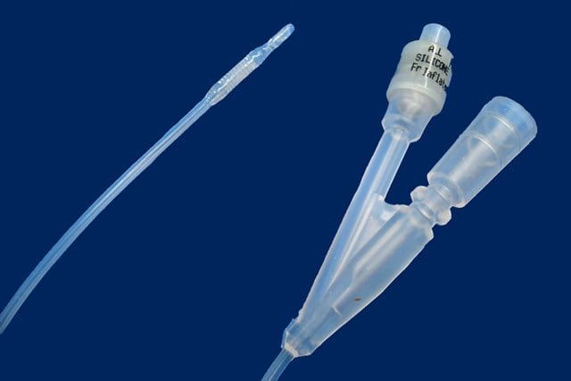 Catheter Bard silicone - Sheep