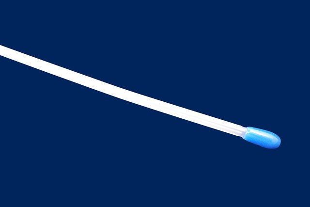 Deep Chamber AI Catheter