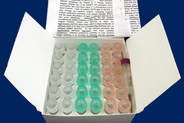 Test Kit Equine Colostrum IgG 12/box (for original DVM)