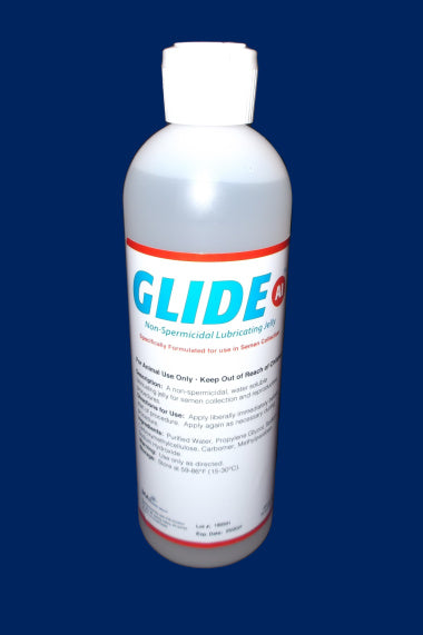 Lube - Glide AI