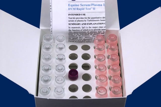 Test kit DVM II Equine Serum/Plasma IgG 12/box